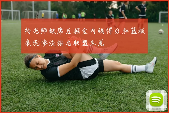 约老师缺席后掘金内线得分和篮板表现惨淡排名联盟末尾